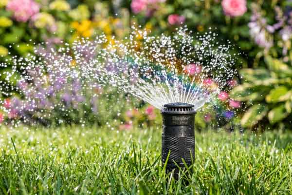 arrosage-automatique-pelouse-fleurs