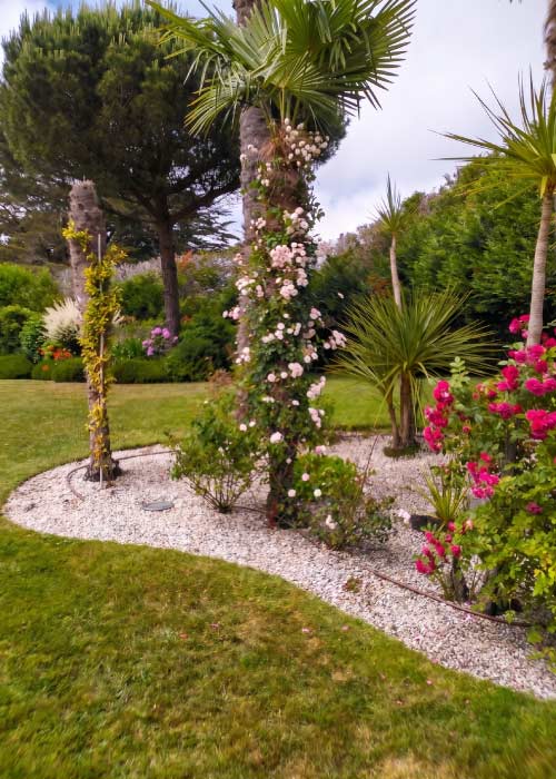 plantation-jardin